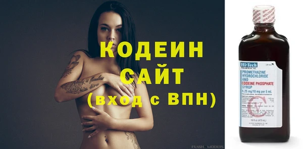 дживик Ельня