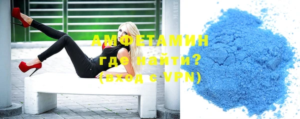 прущие грибы Елабуга