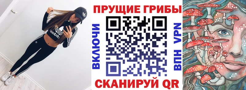 Галлюциногенные грибы ЛСД Купить закладки Юрьев-Польский